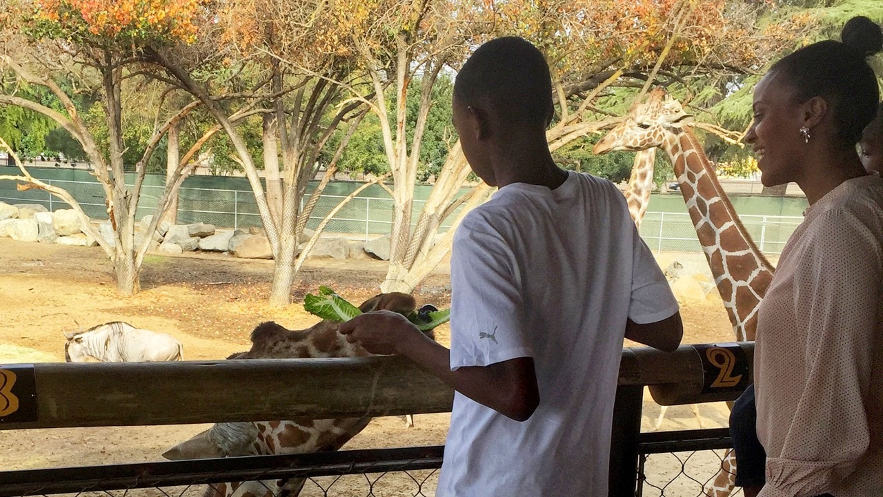 Josiah (left) and Jehava Brown feed giraffes at the Fresno Chaffee Zoo.