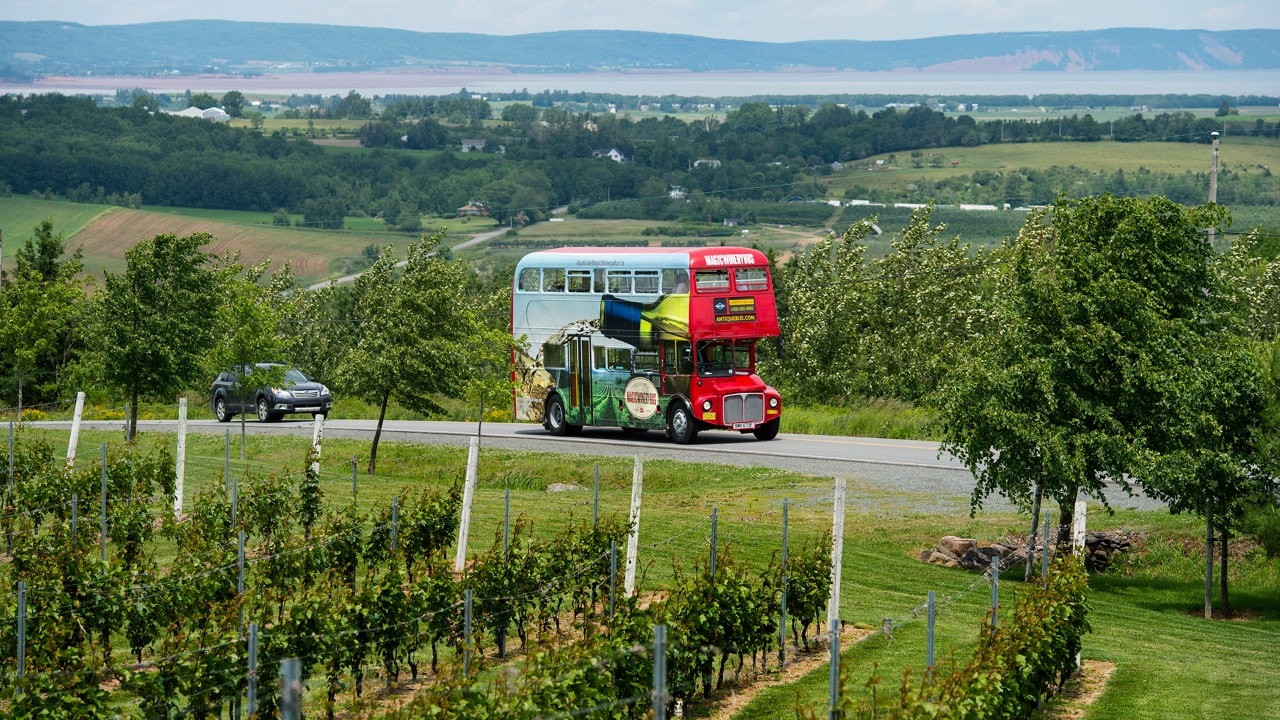 The Magic Winery Bus arrives at Luckett Vineyards.