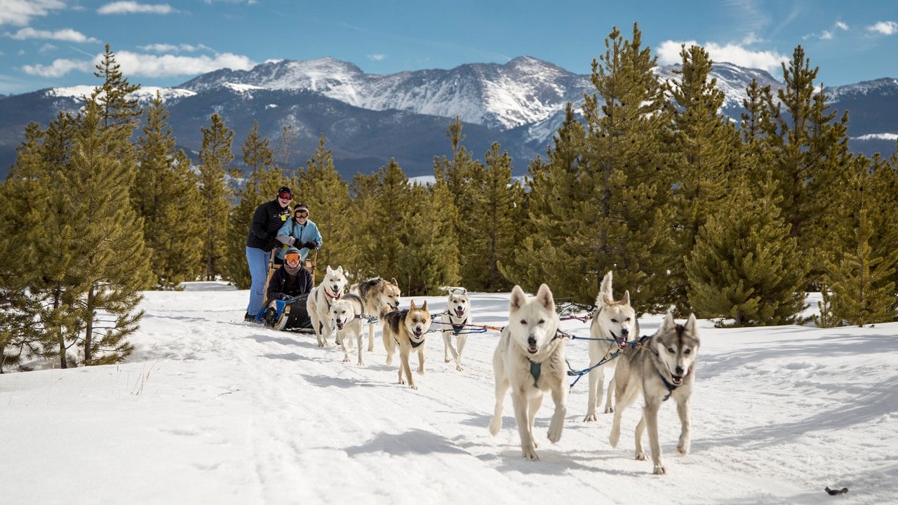 Dogsledding is available near most major ski resorts across the state.
