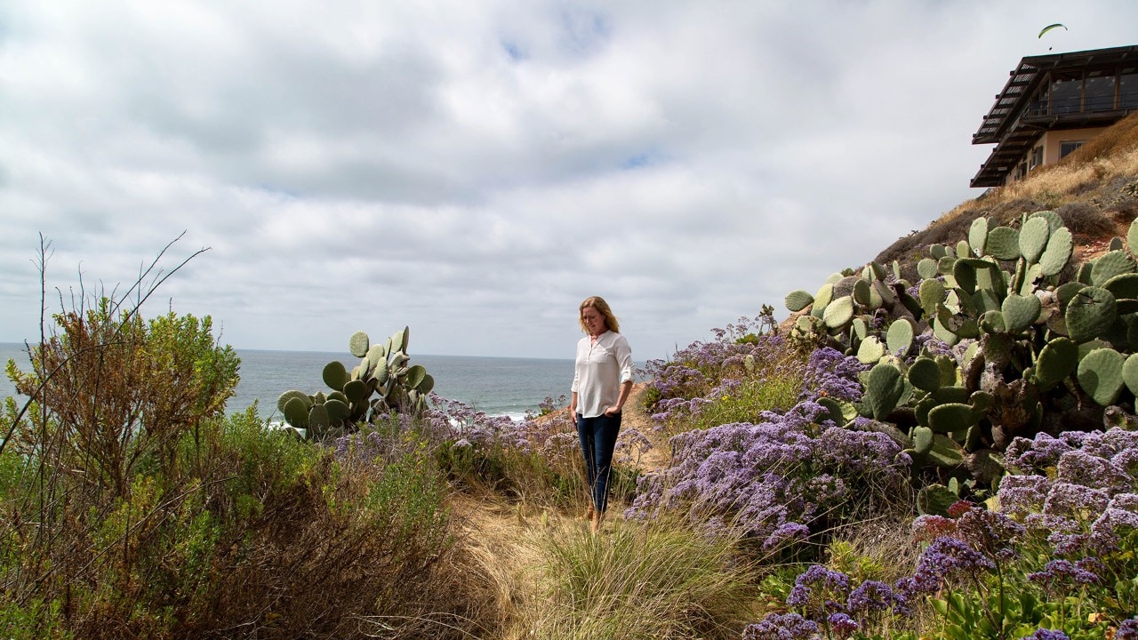 La Jolla’s idyllic ocean bluffs flourish with purple sea lavender.