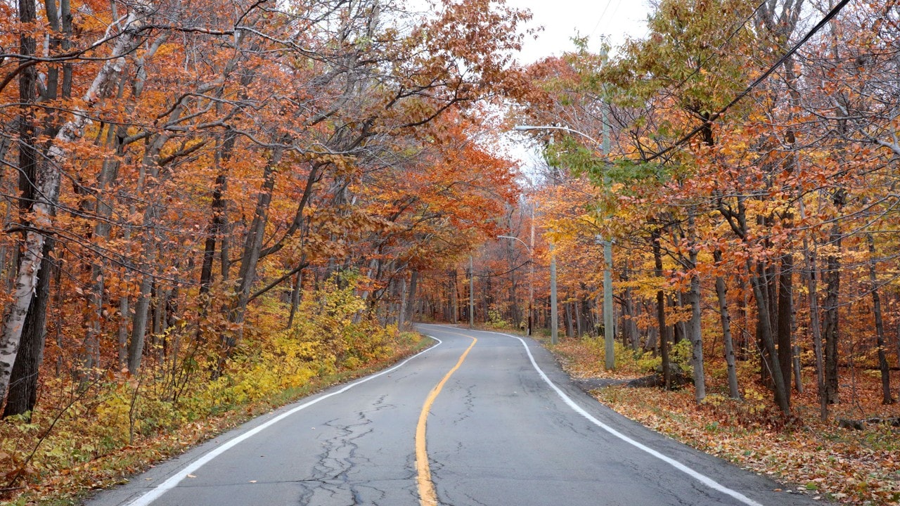 Fall drive on the Island of Orleans