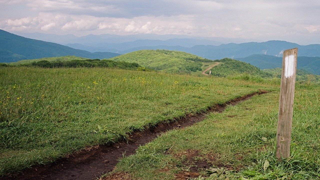 The trail has a seemingly endless number of hiking options, all with beautiful views. Photo by Kyle Repka