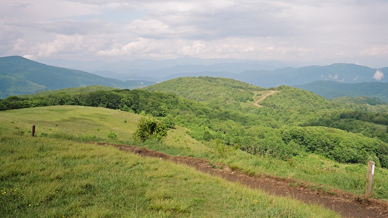 Wildflowers cover Max Patch, a great spot to catch a beautiful sunrise or sunset with fellow hikers. Photo by Kyle Repka