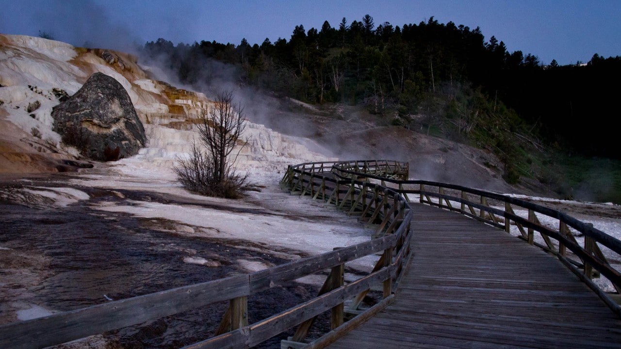 At Mammoth Hot Springs, hot water rises through the soft limestone, dissolving large quantities of rock and leaving a white chalky mineral on the surface.