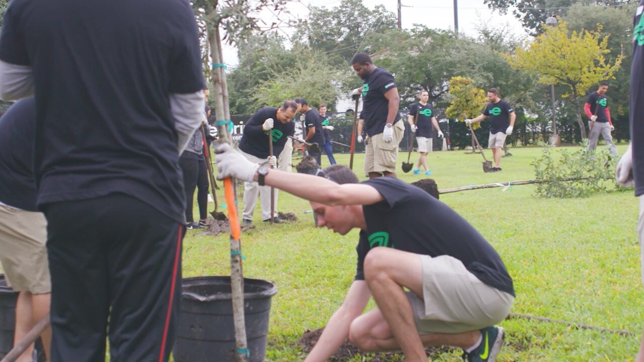 An Enterprise employee carefully plants a tree during the day's event.