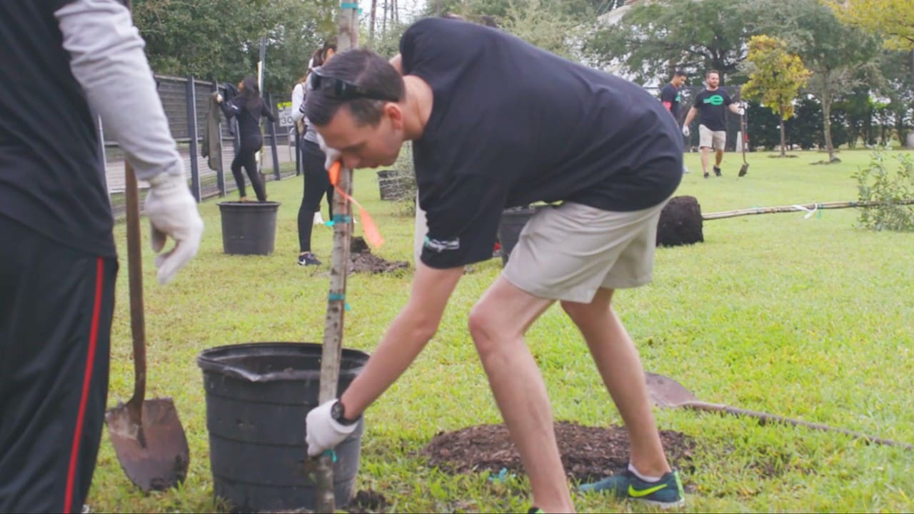 An employee plants another tree.