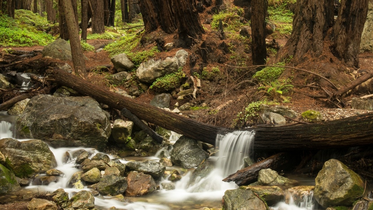 Limekiln State Park