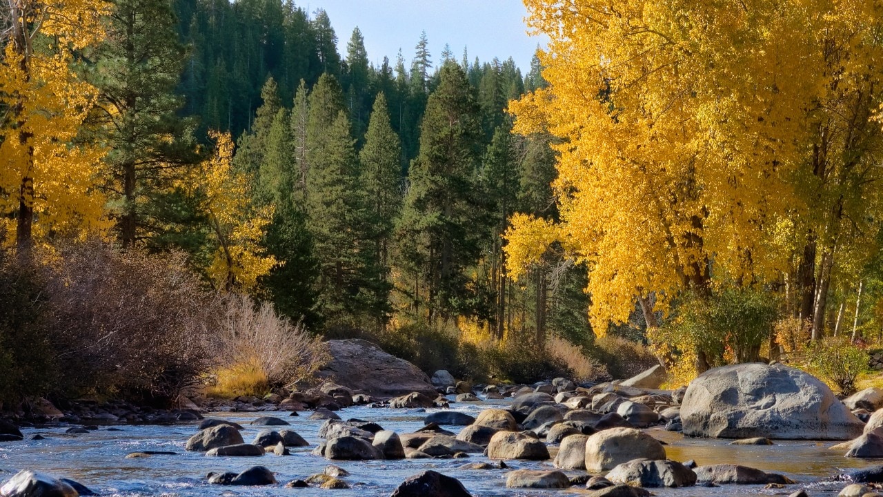 Truckee