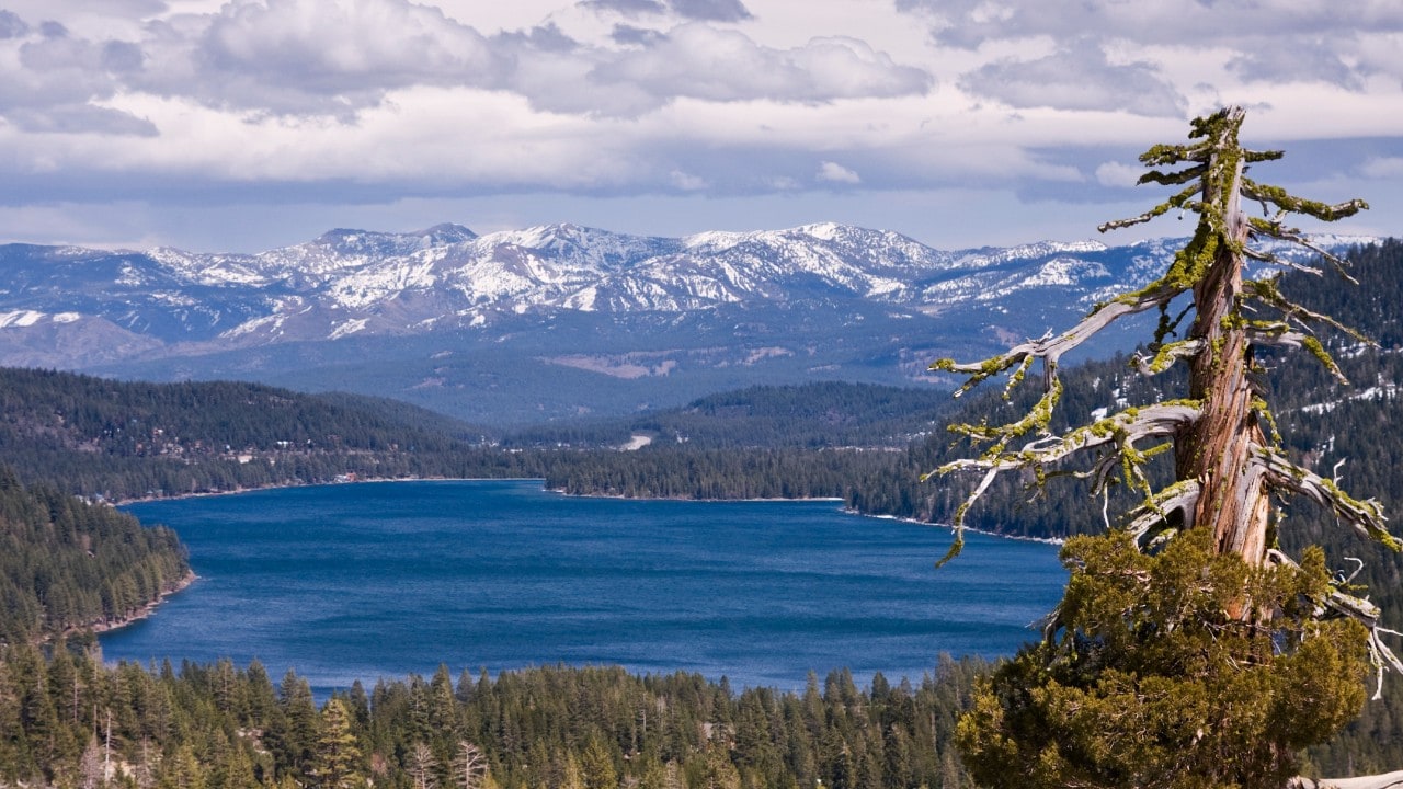 Donner Pass