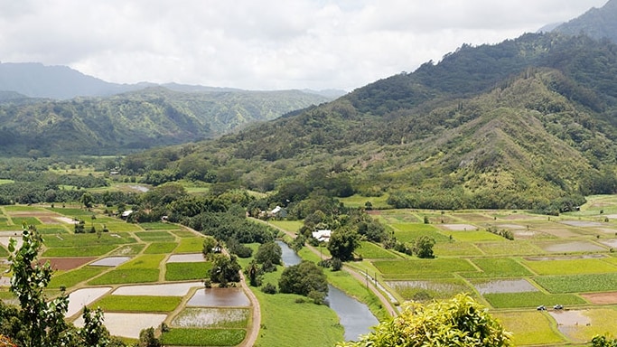Hawaii Road Trips
