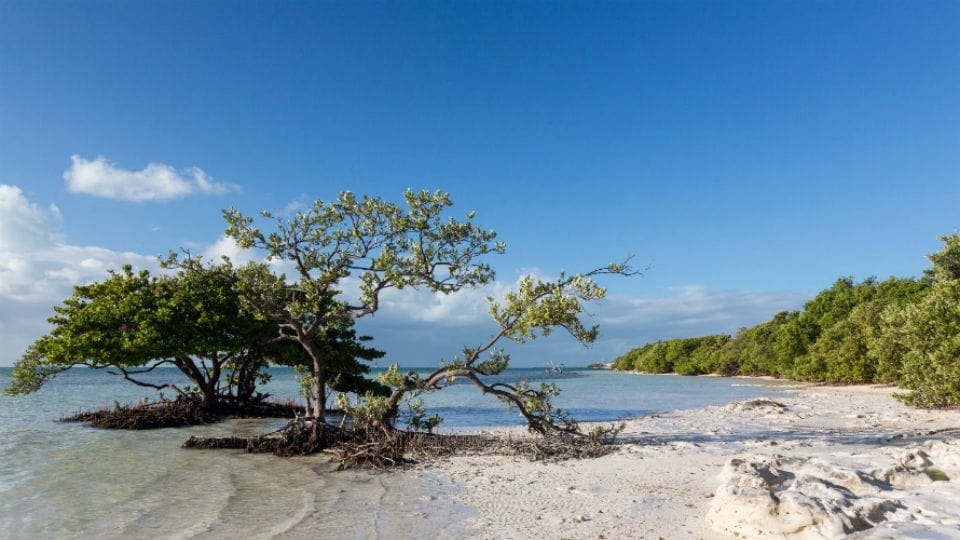 Florida Keys Beach