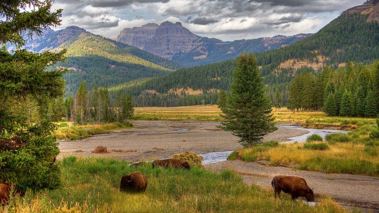 Salt Lake City to Yellowstone National Park