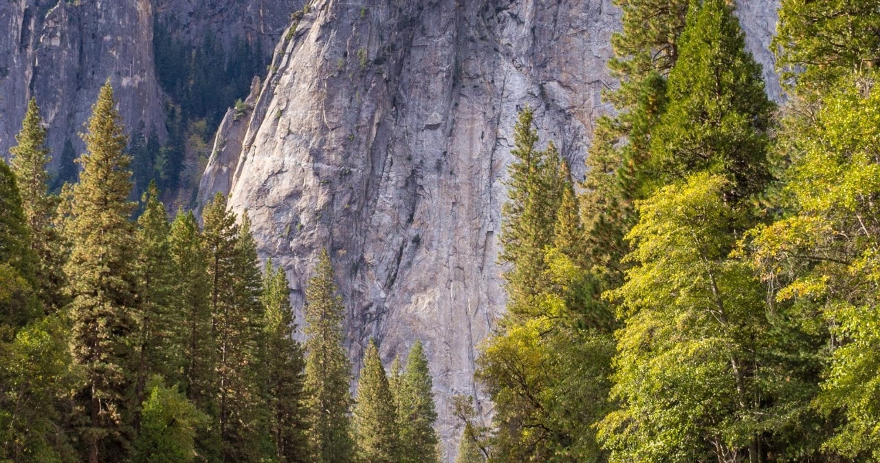 Drive from Sacramento to Yosemite