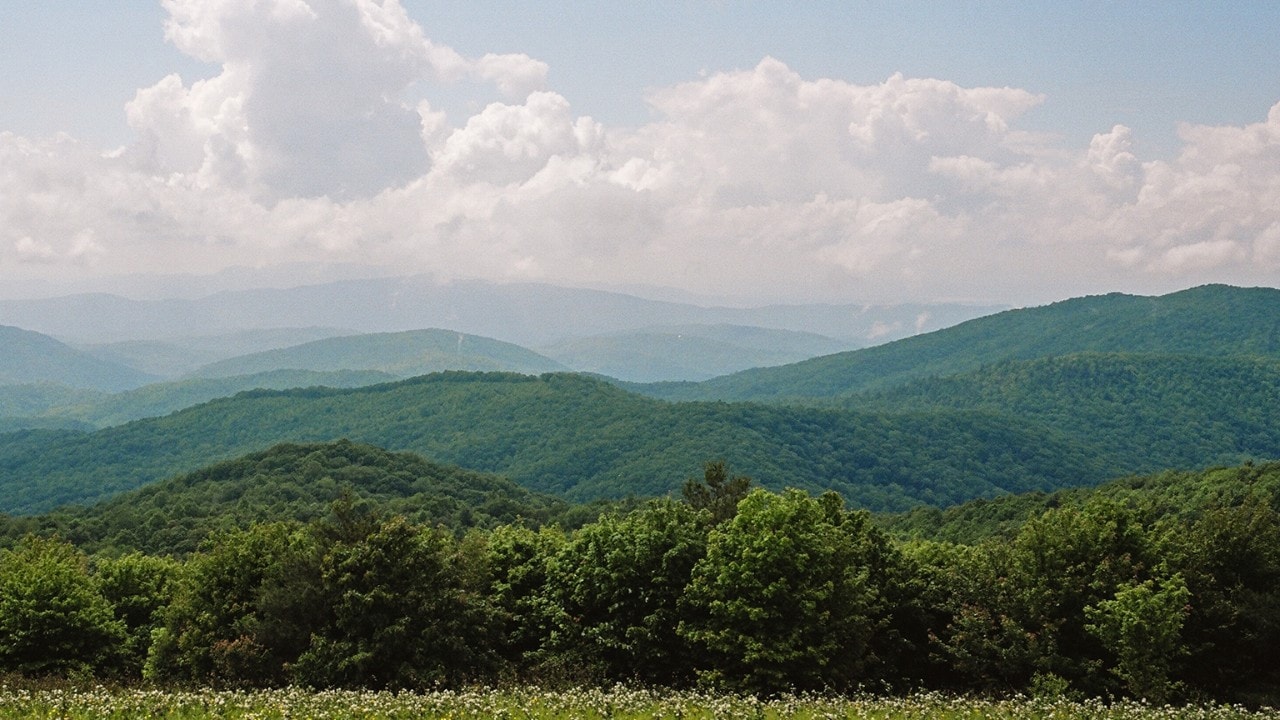 North Carolina Road Trips