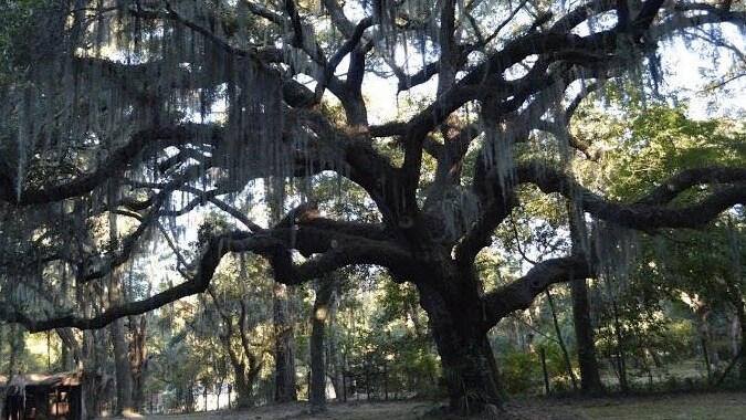 South Carolina Road Trips