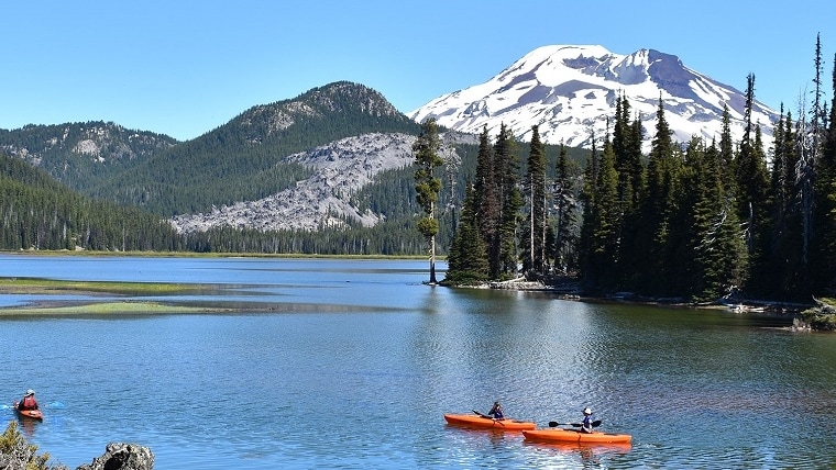 Washington Road Trips