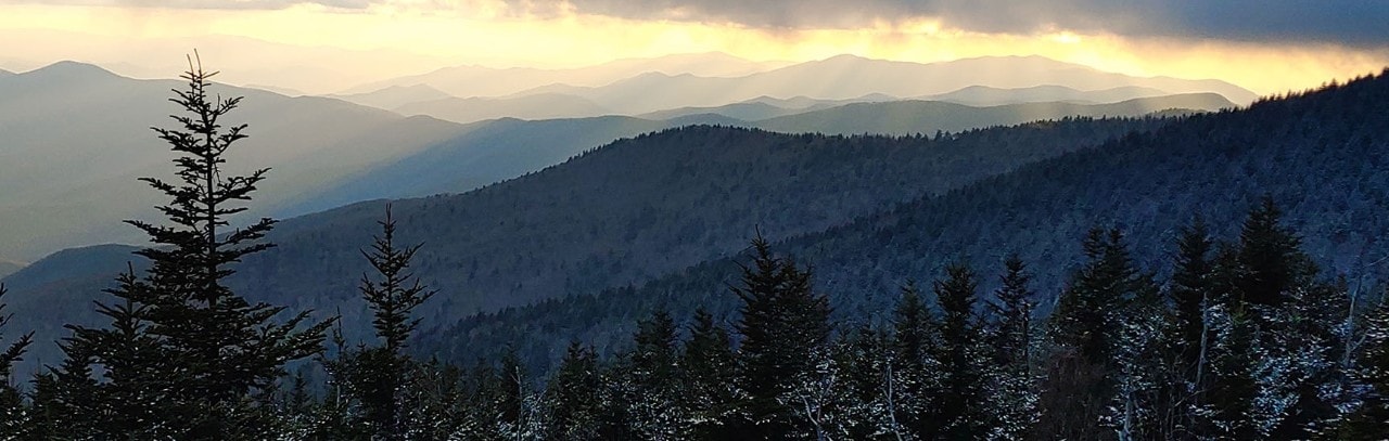 Best National Park Road Trips
